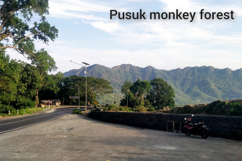 From Gili Trawangan: Waterfalls and Traditional Village Tour