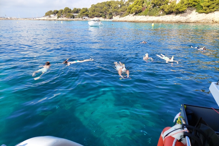 Snorkeling experience at Palma Bay