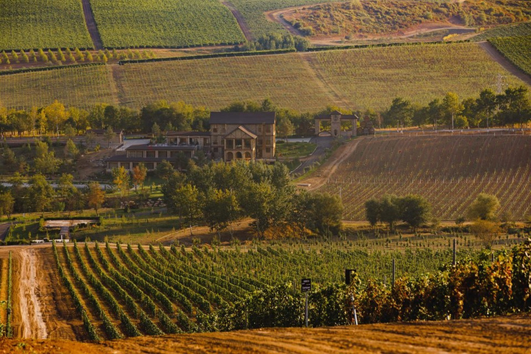 Baku: Organic Winery Tour in Shamakhi met lokale lunch