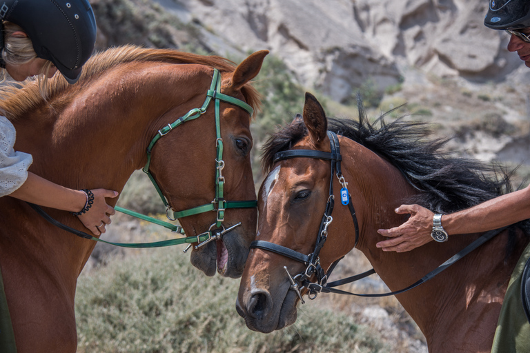 Santorini: Horse Riding Trip to Black Sandy Beach Private Tour