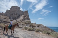 Santorini, Escursione a cavallo sulla spiaggia di sabbia nera - Hizvo