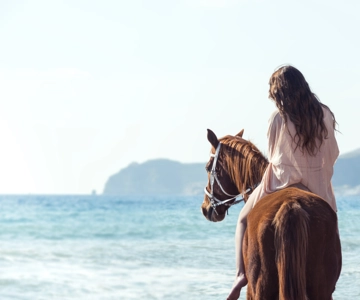 Santorini: Horse Riding Trip to Black Sandy Beach