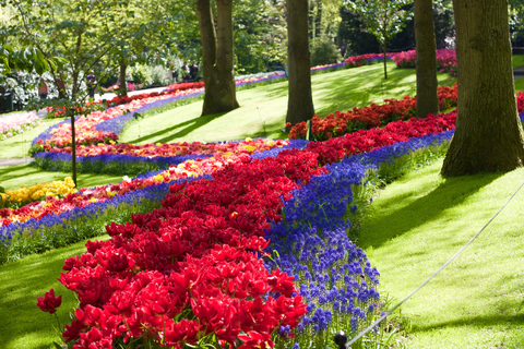 Amsterdam: Keukenhof Ticket with Shuttle Bus + Canal Cruise