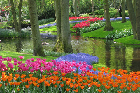 Amsterdam: Keukenhof Ticket with Shuttle Bus + Canal Cruise