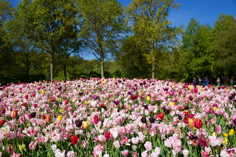 Amsterdam: Keukenhof Ticket with Shuttle Bus + Canal Cruise