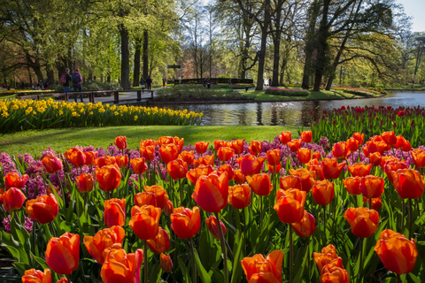Amsterdam: Keukenhof Ticket with Shuttle Bus + Canal Cruise