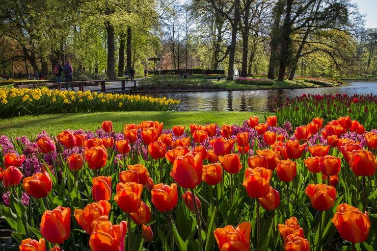Amsterdam: Keukenhof Ticket with Shuttle Bus + Canal Cruise