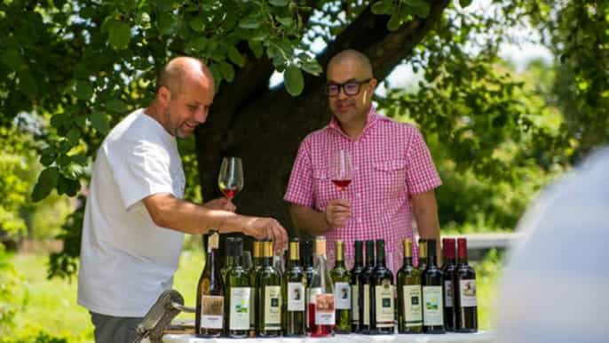 de cracovie visite privée guidée du vignoble de kresy
