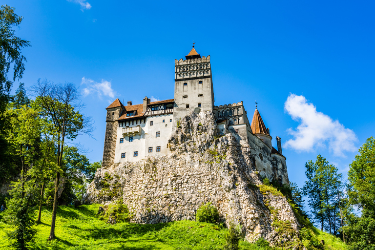 Bucarest : Château de Dracula, château de Peles et visite guidée de BrasovVisite guidée en espagnol