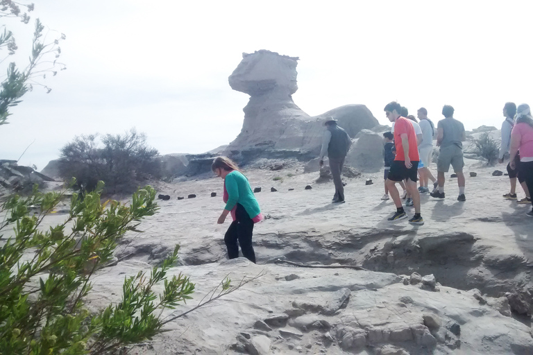 San Juan : Parc national d&#039;Ischigualasto - Vallée de la LuneVisite du Parc Naturel Provincial d&#039;Ischigualasto