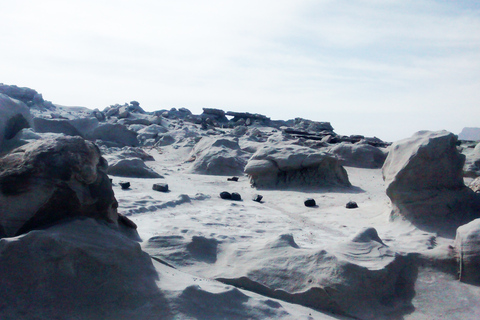 San Juan : Parc national d&#039;Ischigualasto - Vallée de la LuneVisite du Parc Naturel Provincial d&#039;Ischigualasto