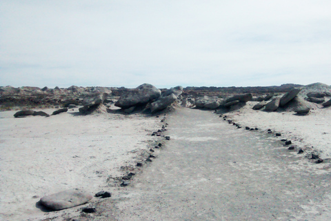 San Juan : Parc national d&#039;Ischigualasto - Vallée de la LuneVisite du Parc Naturel Provincial d&#039;Ischigualasto
