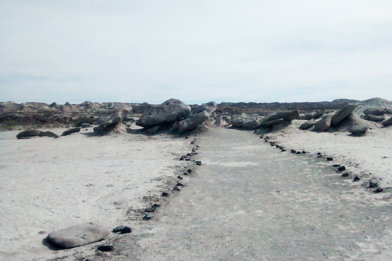 San Juan : Parc national d&#039;Ischigualasto - Vallée de la LuneVisite du Parc Naturel Provincial d&#039;Ischigualasto