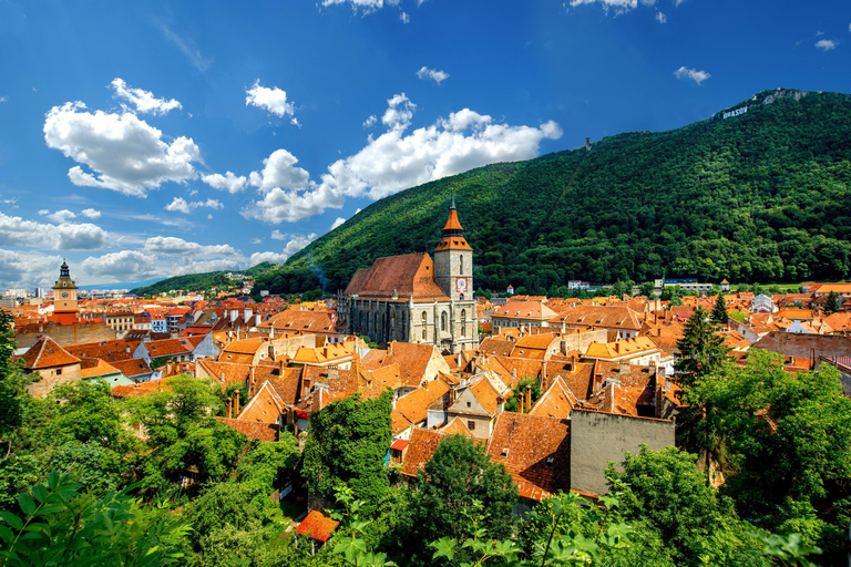 Bukarest: Dracula slott Dracula slott, Peles slott &amp; Brasov guidad turGuidad tur på spanska