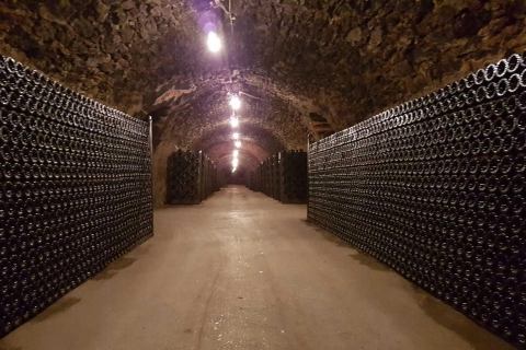 Épernay : visite guidée cave à champagne et dégustationsVisite en français