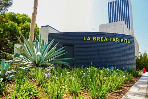 Los Angeles: La Brea Tar Pits Museum Ticket La Brea Tar Pits Museum Ticket