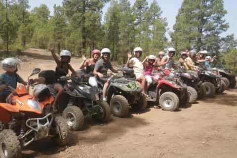 Playa de las Americas: 3-Hour Quad Bike Forest Ride