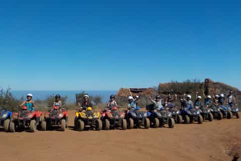 Playa de las Americas: 3-Hour Quad Bike Forest Ride