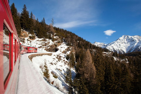 Privéreis van Zürich naar Grindelwald &amp; Interlaken