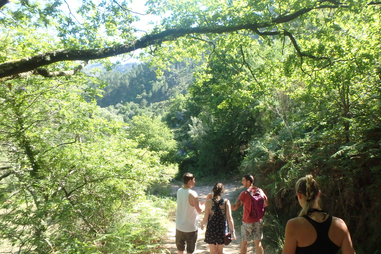 Porto: Peneda-Gerês National Park Tour with Kayaking & Lunch