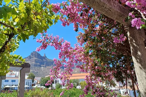 Gran Canaria: Highlights & hidden gems by 2 local guides