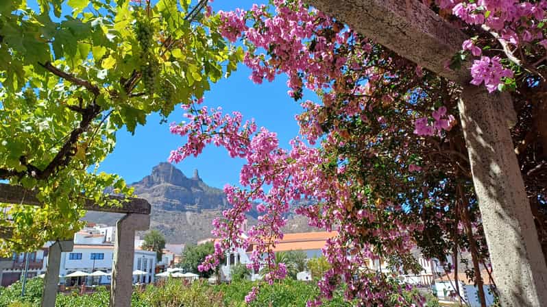 Gran Canaria: Highlights & hidden gems with Sky Rebels