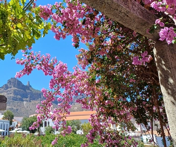 Gran Canaria: Highlights & hidden gems by 2 local guides