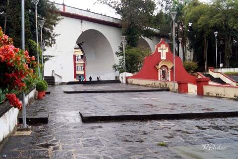 Veracruz : Visite guidée à Xalapa avec musée d'anthropologieOption standard