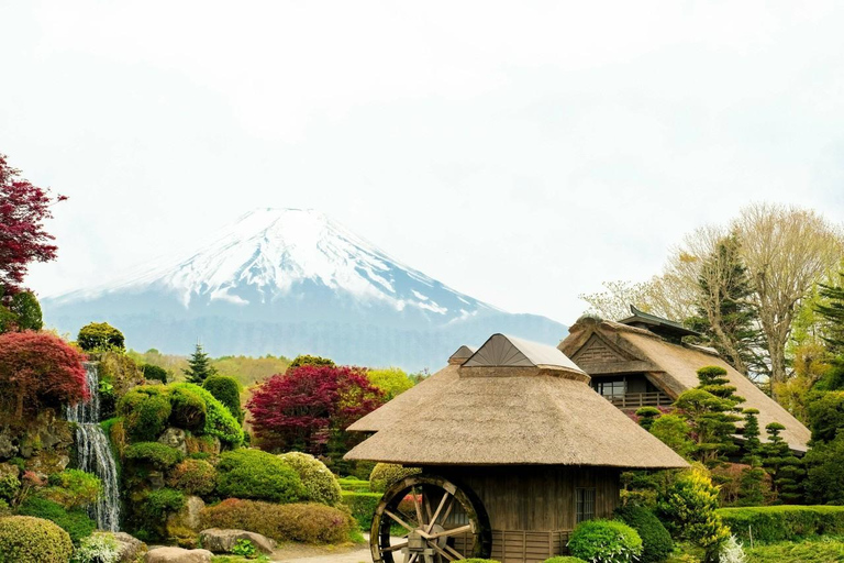 Tokyo: Fuji Fuji-berget, Arakura Sengen Park, Oshino Hakkai BussturFrån Shinjuku till Fuji-berget kl. 8:30