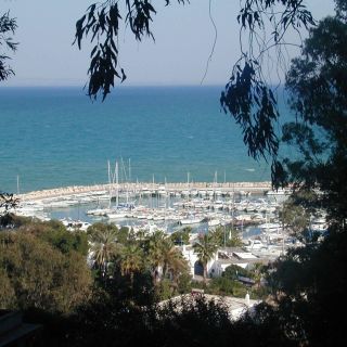From Tunis: Half-Day Tour to Carthage and Sidi Bou Said