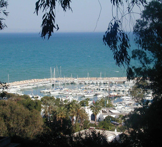 Tunis image