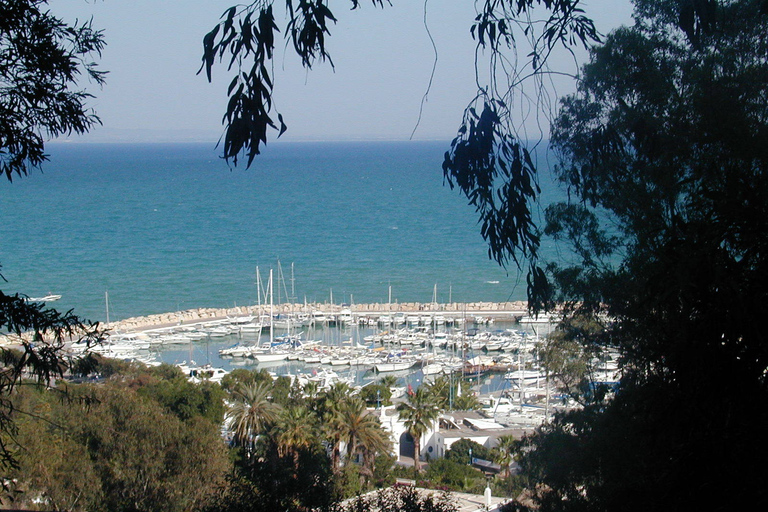 Van Tunis: halve dagtour naar Carthago en Sidi Bou Said