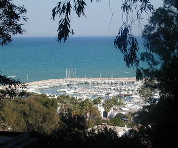 From Tunis: Half-Day Tour to Carthage and Sidi Bou Said