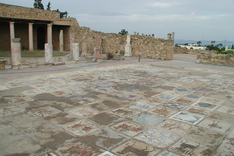 Aus Tunis: Halbtagestour nach Karthago und Sidi Bou Said