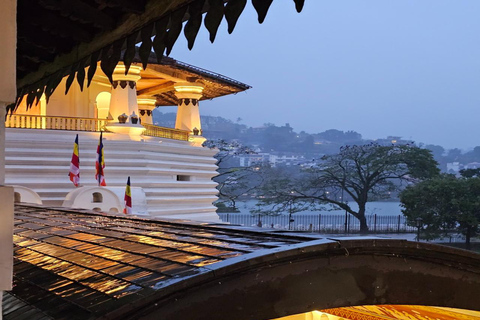 Kandy: Night Tour with Boat Safari, Cultural Show & Temples