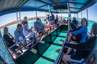 Coral Bay, 2-Hour Coral Viewing and Snorkeling - Housity