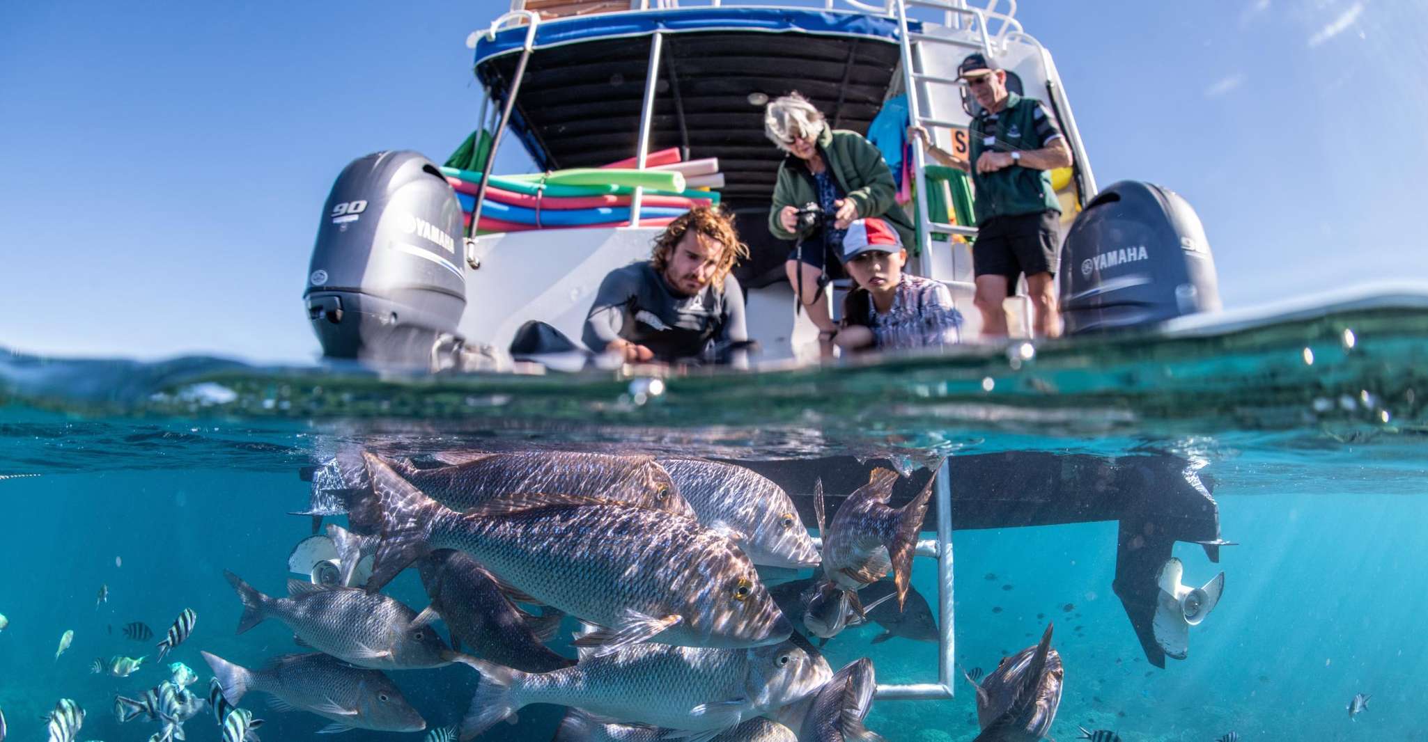 Coral Bay, 2-Hour Coral Viewing and Snorkeling - Housity