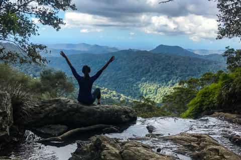 Springbrook National Park and Tamborine Rainforest Day Tour