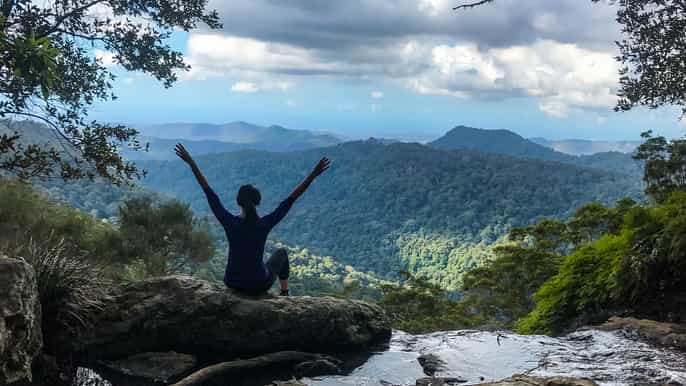 springbrook national park and tamborine rainforest day tour