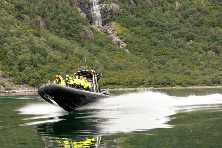 Eidfjord: 1-Hour Fjord RIB Tour