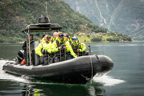 Eidfjord: 1-Hour Fjord RIB Tour