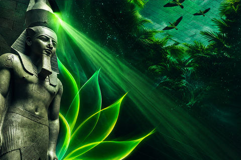Premium Grand Egyptian Museum Night Show & Dinner Experience Small Group Tour with Dinner