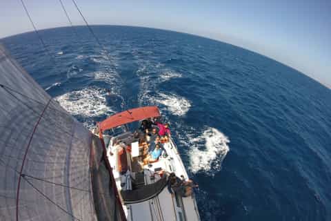 Fuerteventura: Sailing with Snorkeling and Dolphin Watching