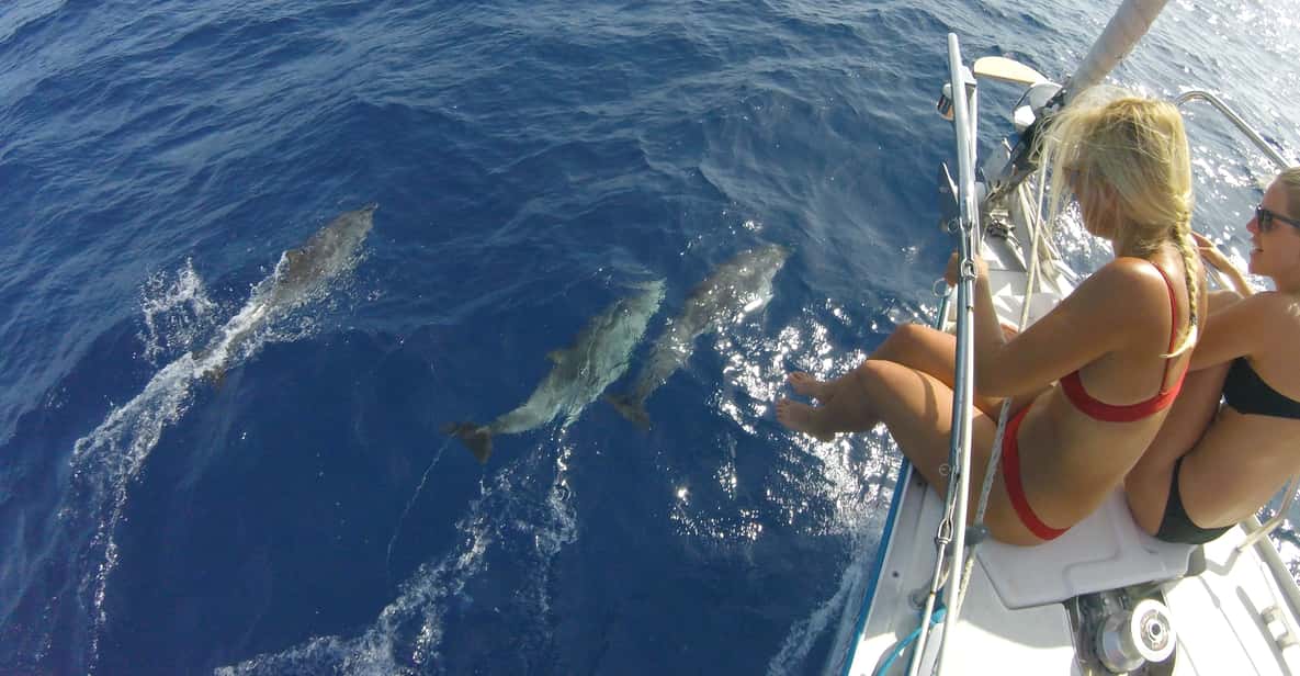 Fuerteventura: Sailing with Snorkeling and Dolphin Watching