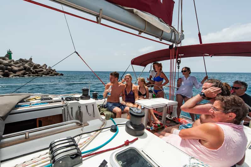 Fuerteventura Sailing with Snorkeling and Dolphin Watching GetYourGuide