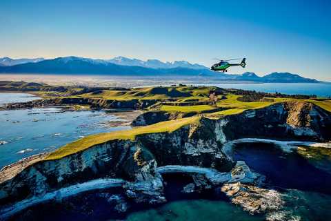 Kaikoura: 30-Minute Whale Watching Helicopter Tour