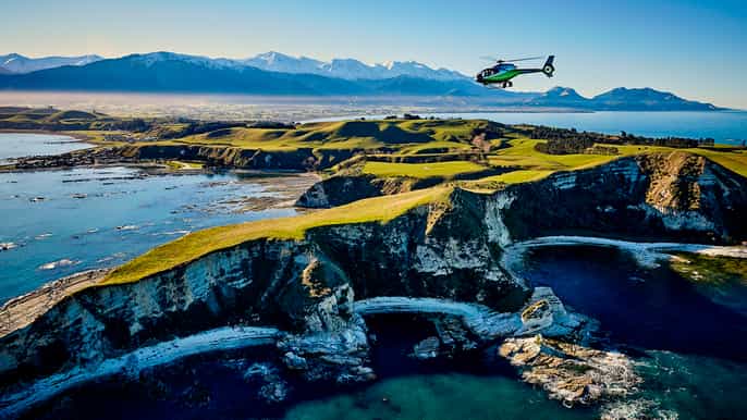 kaikoura 30minute whale watching helicopter tour