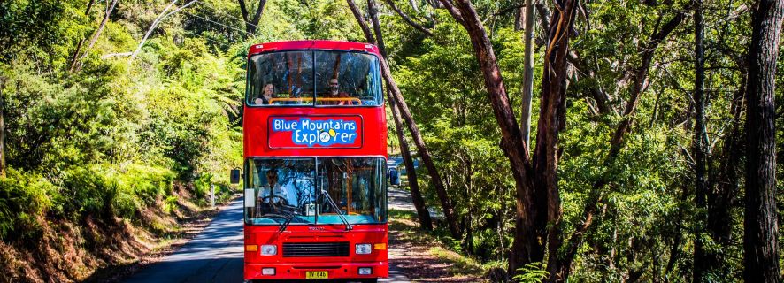 Blue Mountains Hop on Hop off & Scenic World Rides Pass