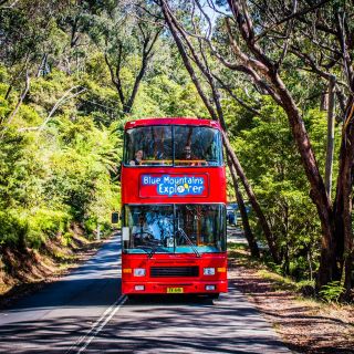 Blue Mountains: bus hop-on hop-off e pass per Scenic World