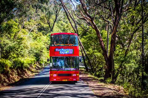 Blue Mountains Hop on Hop off & Scenic World Rides Pass